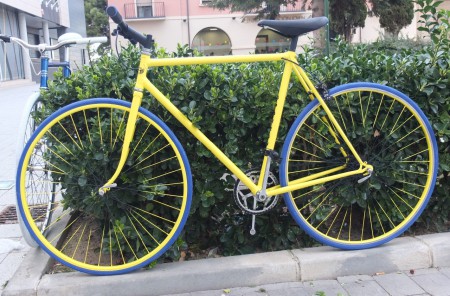 FIXIE CAÑETE